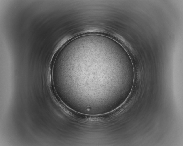 X0000116511274200912161331