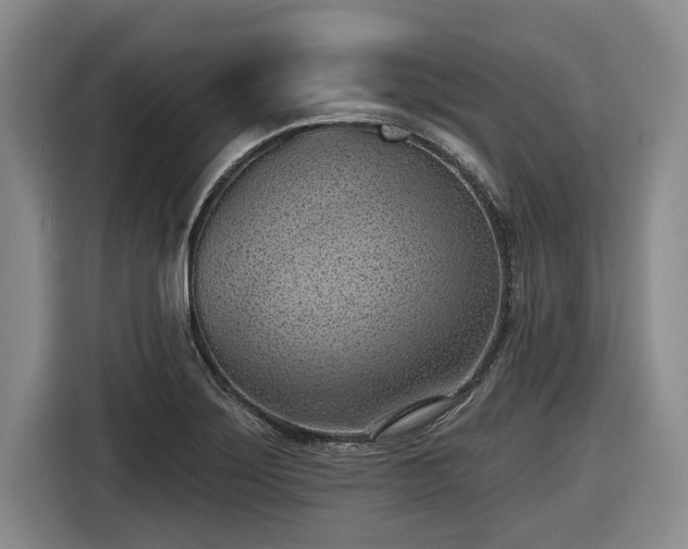 X0000116511275200912161331