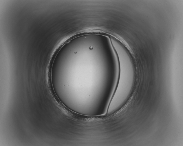 X0000116511277200912161331