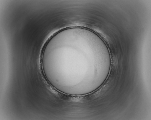 X0000116511278200912161331