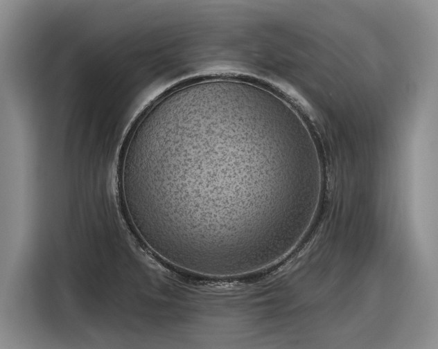 X0000116511279200912161331