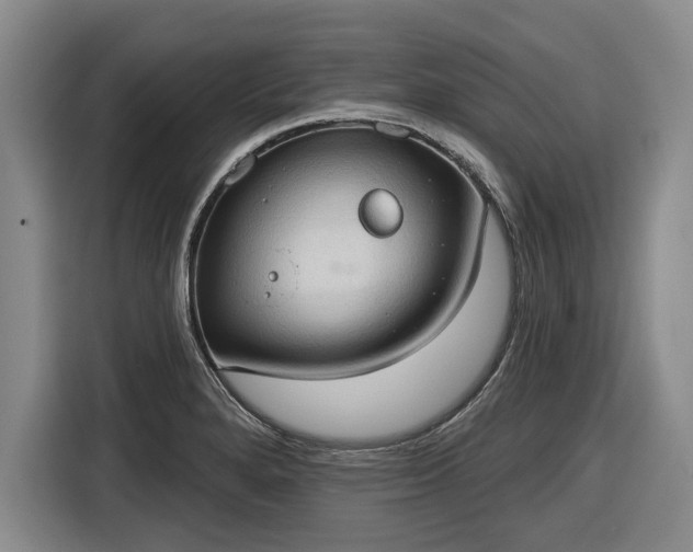 X0000116511280200912161331