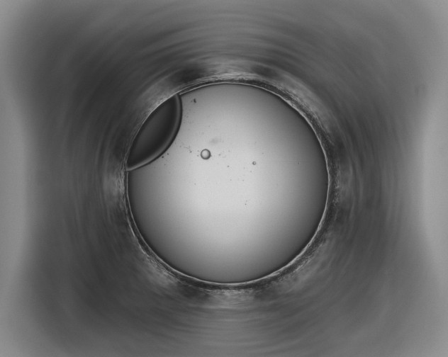 X0000116511281200912161331