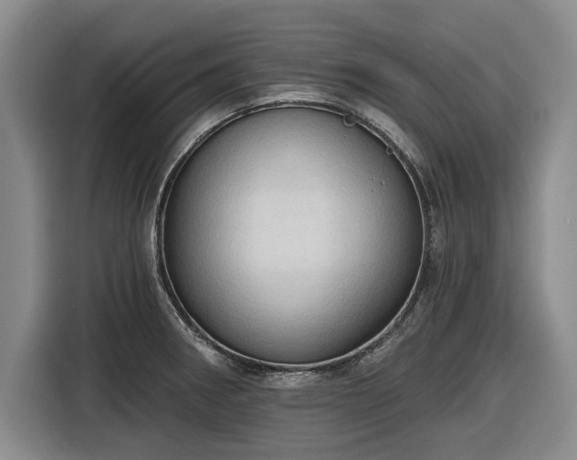 X0000116511282200912161331