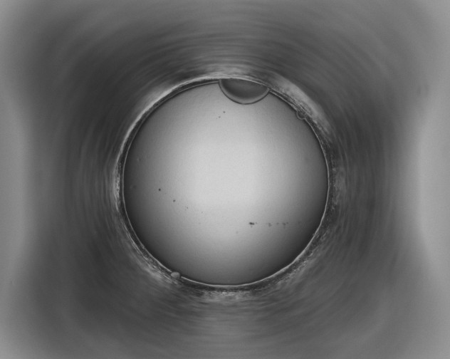 X0000116511284200912161331