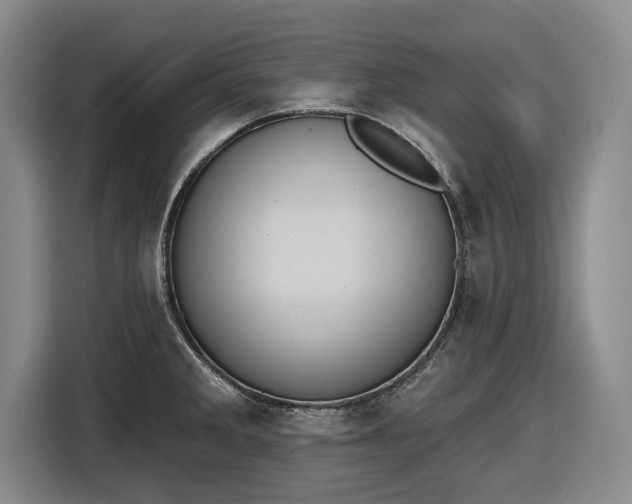 X0000116511285200912161331