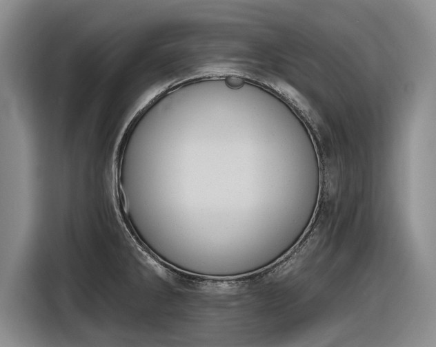X0000116511286200912161331