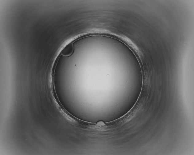 X0000116511287200912161331