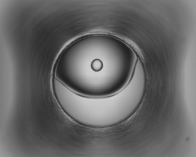 X0000116511288200912161331