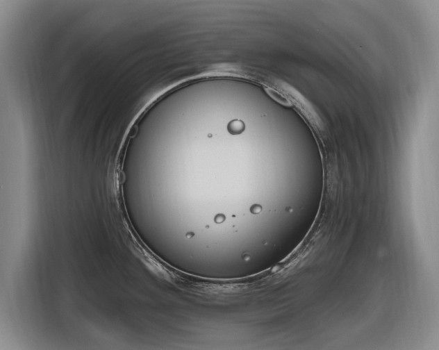 X0000116511292200912161331