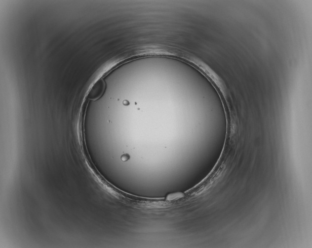 X0000116511293200912161331