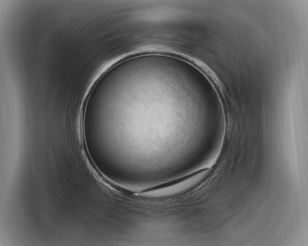 X0000116511295200912161331