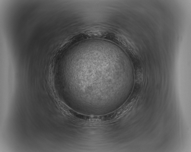 X0000116511297200912161330