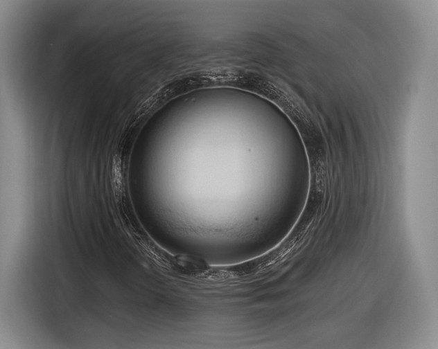 X0000116511298200912161330