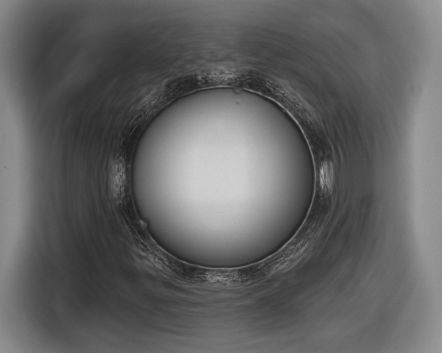 X0000116511299200912161330