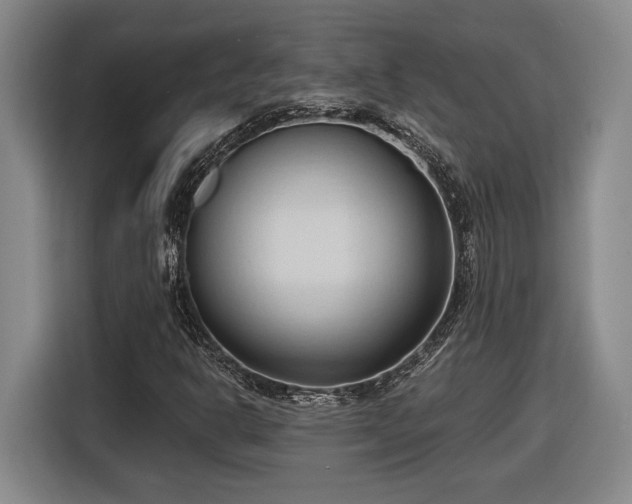 X0000116511302200912161330