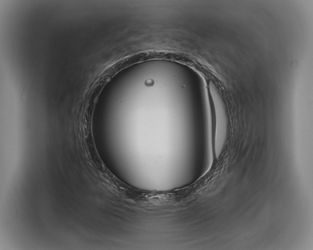 X0000116511303200912161330