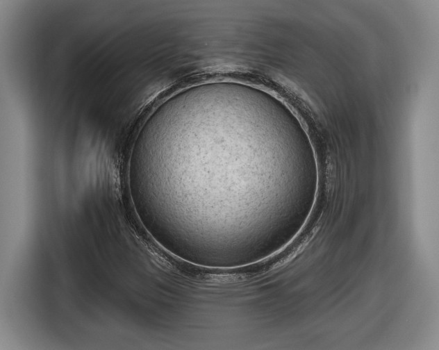 X0000116511305200912161330