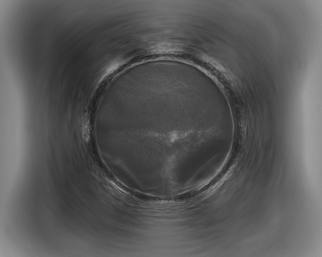 X0000116511306200912161330