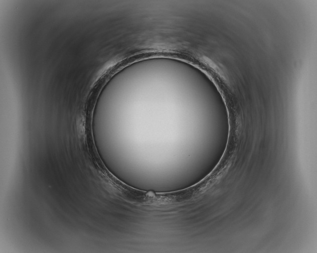 X0000116511307200912161330