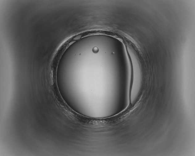 X0000116511310200912161331