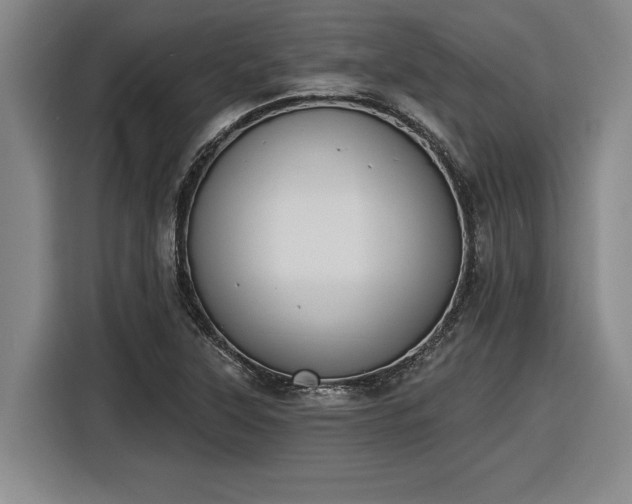 X0000116511315200912161331