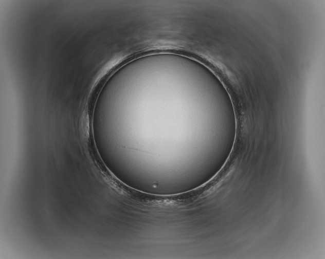 X0000116511317200912161331