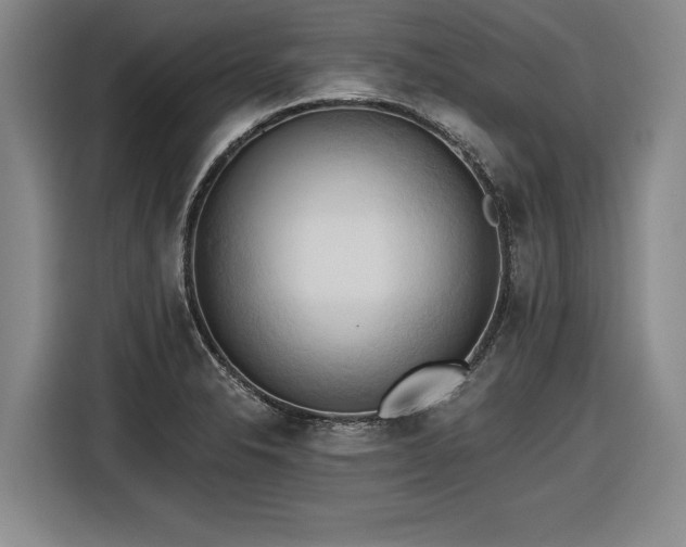 X0000116511326200912161331