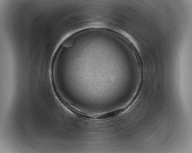 X0000116511334200912161331