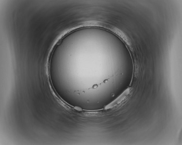 X0000116511342200912161331