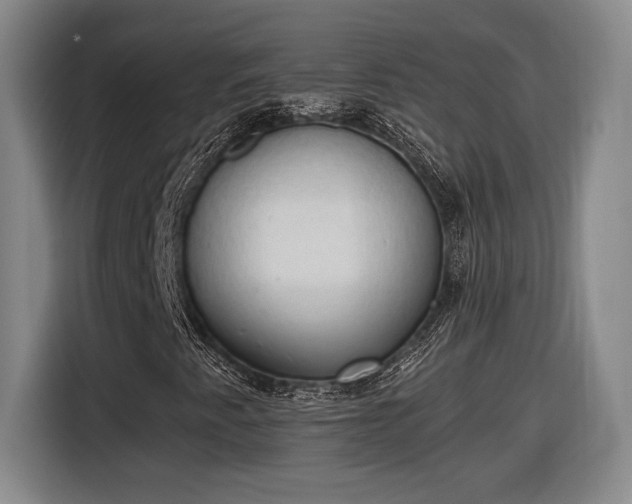 X0000116511345200912161330