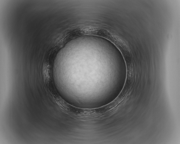 X0000116511346200912161330