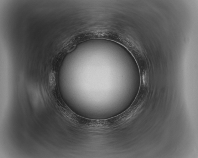 X0000116511347200912161330