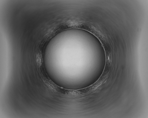 X0000116511348200912161330