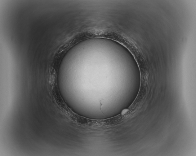 X0000116511349200912161330