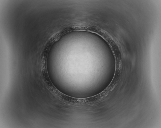 X0000116511350200912161330