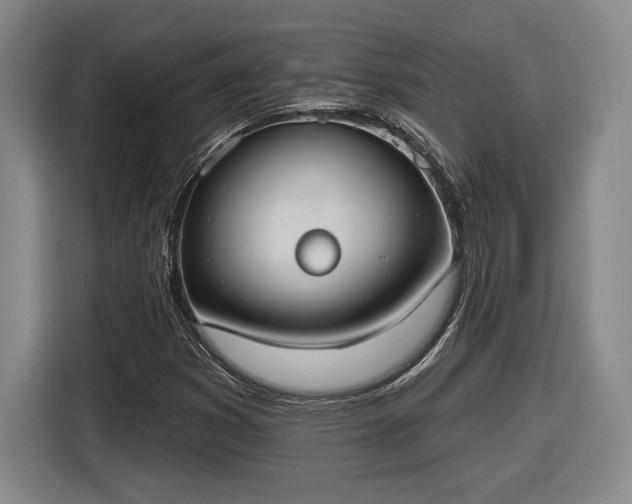 X0000116511353200912161330
