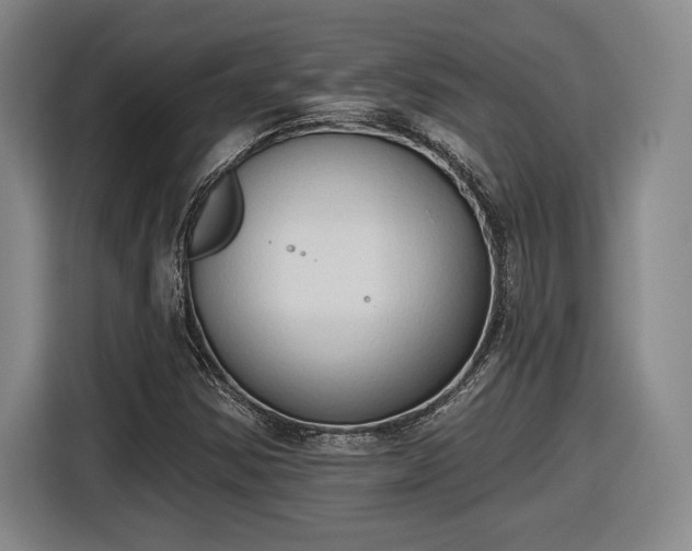 X0000116511354200912161330
