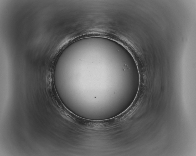 X0000116511355200912161330