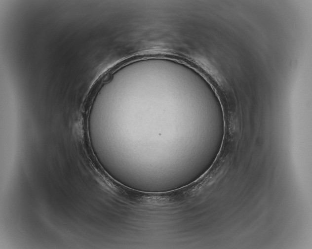 X0000116511356200912161330
