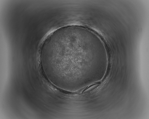 X0000116511359200912161330