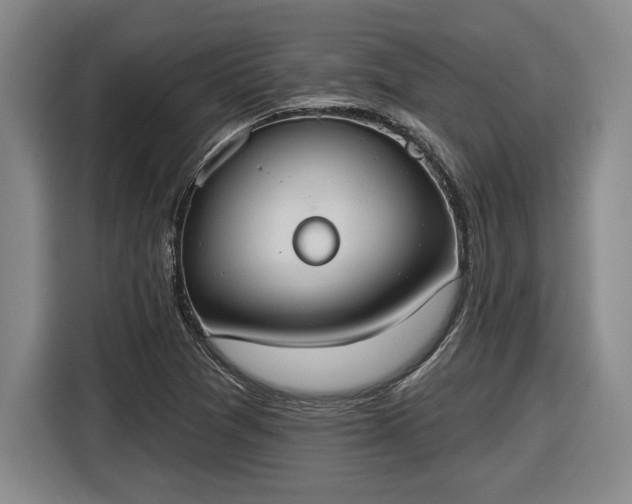 X0000116511361200912161330