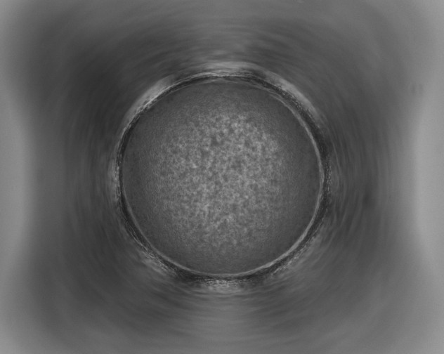 X0000116511362200912161330