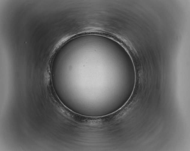X0000116511363200912161330