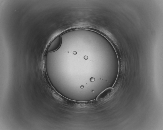 X0000116511366200912161330