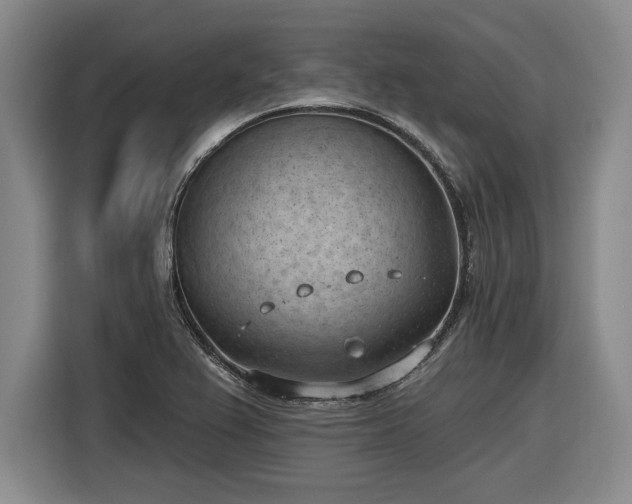 X0000116511367200912161330