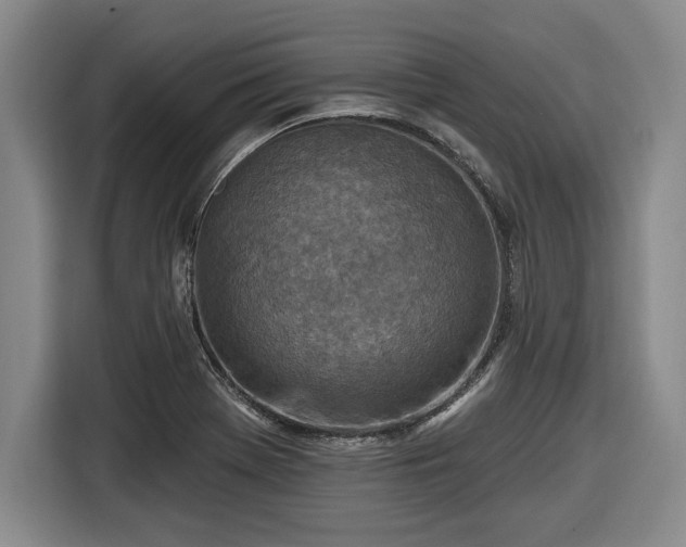 X0000116511369200912161330