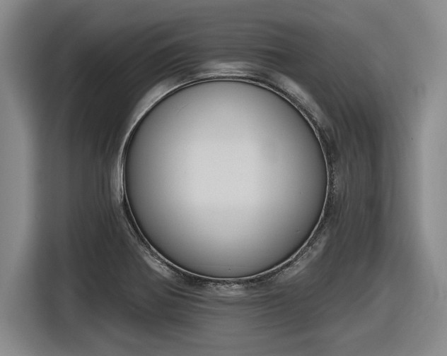 X0000116511370200912161330