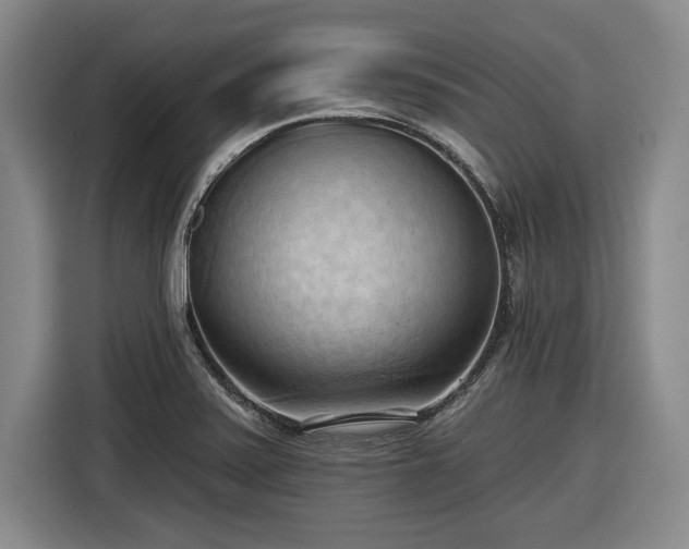 X0000116511371200912161330