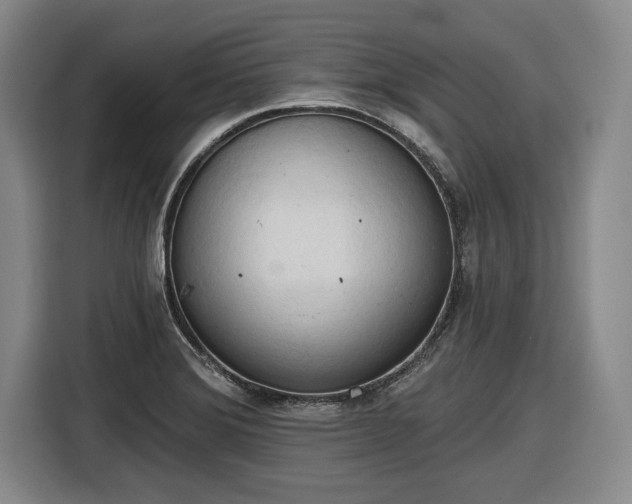 X0000116511372200912161330